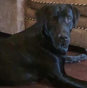 Meet your Posher, Kacey-jason